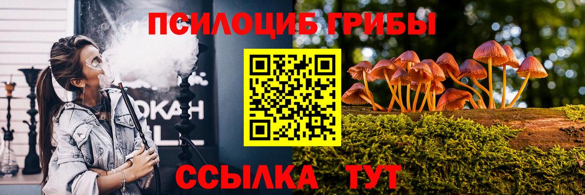 Галлюциногенные грибы Psilocybe  Псилоцибиновые грибы GOLDEN TEACHER  Вход с VPN  Реутов 