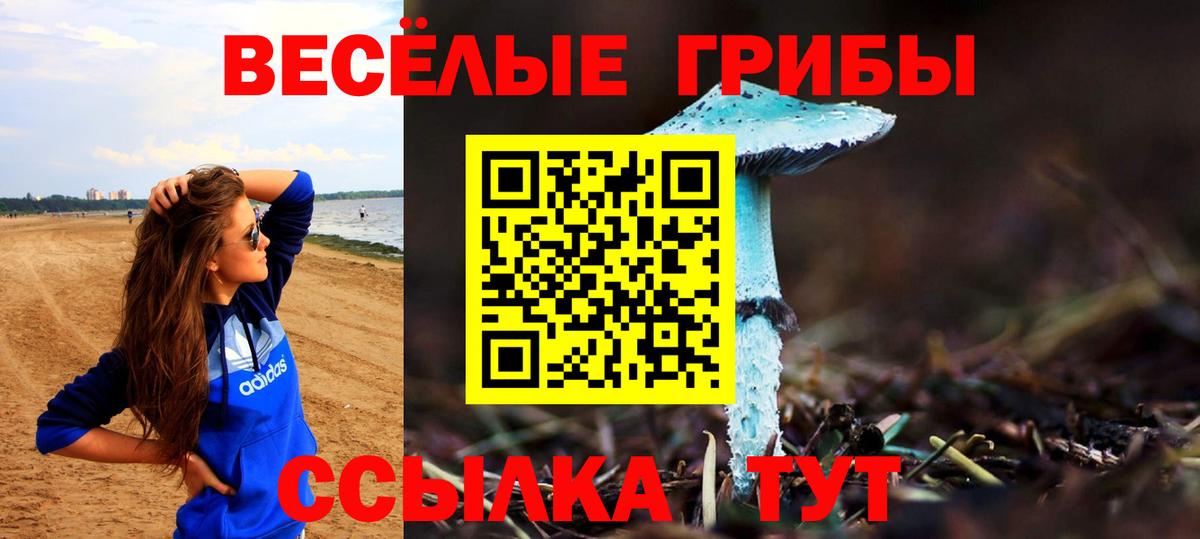 Галлюциногенные грибы GOLDEN TEACHER Реутов